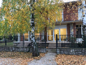 Fecske Family Jakuzzi House_65m Lake-5 Bedroom